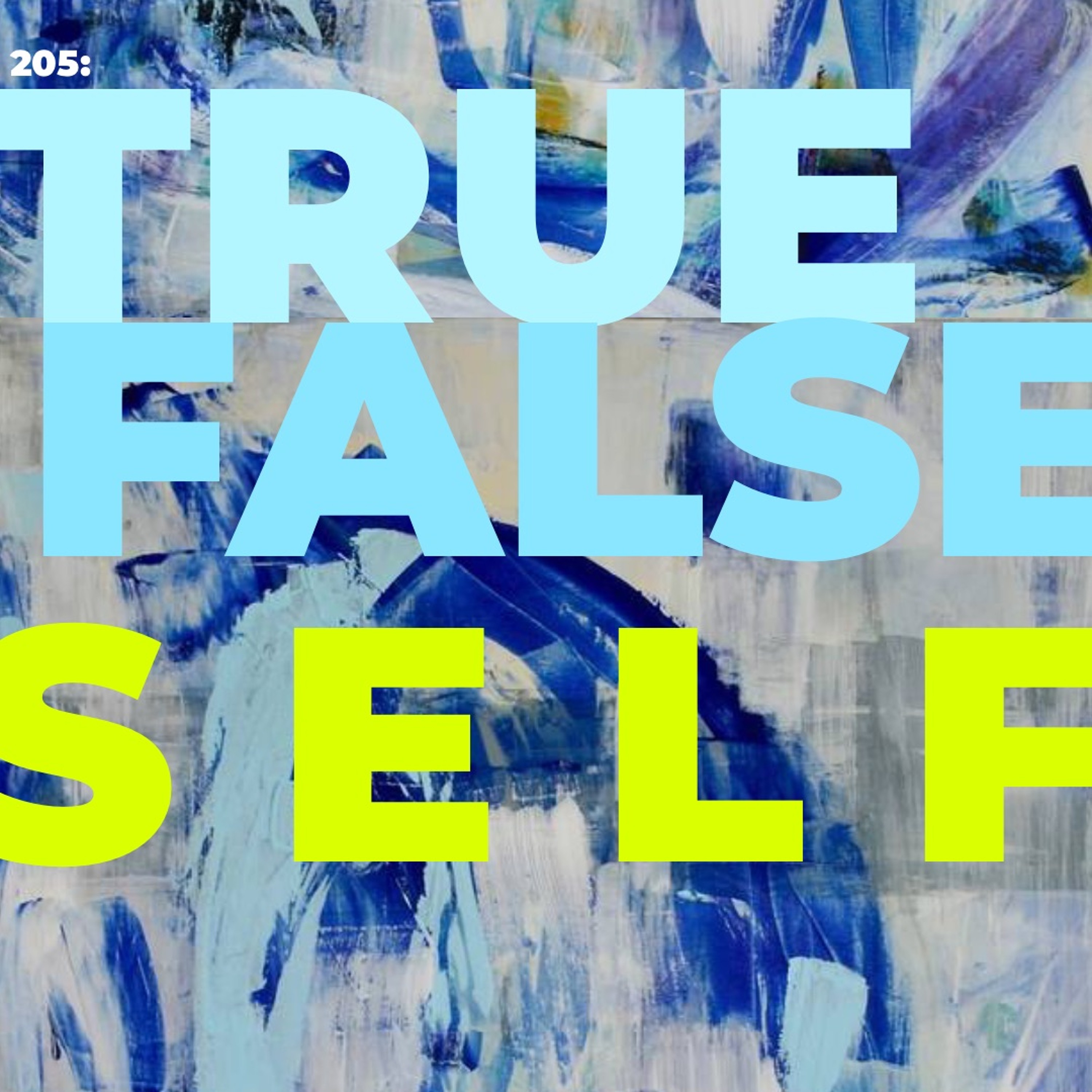 205: True/False Self episode artwork
