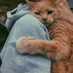 altrack-dh-hygblk-sdaaa-mn-alaathmh.🤍