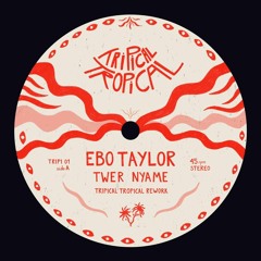 Ebo Taylor - Twer Nyame (Tripical Tropical Rework)