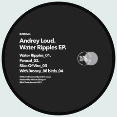 Andrey Loud, Bronxy - 88 Birds (Original Mix)