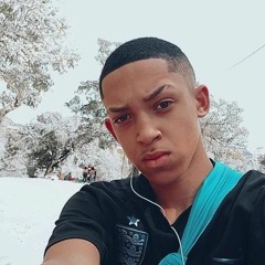 pitibulzado