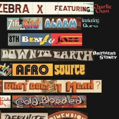 Down to Earth (B.V.A. remix preview) feat Brothers Stoney.