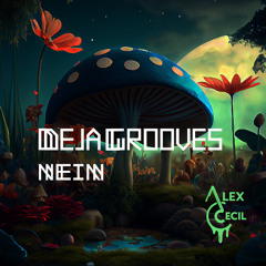 Alex Cecil - Deja Grooves