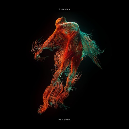SLWDWN - Shadows [Premiere]