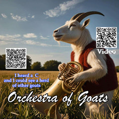 Orchestra of Goats