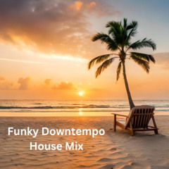 Funky Downtempo House ( February 2025 )