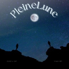DJVVS X CHF - PLEINE LUNE
