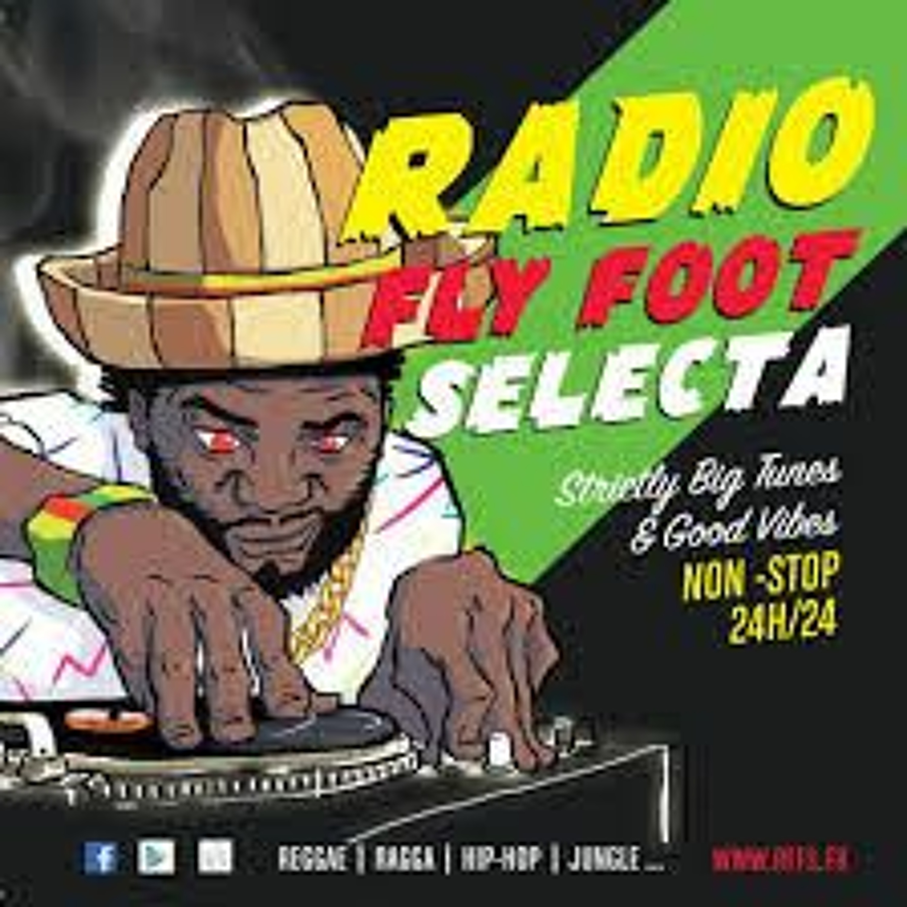 selecta & Dj Lion L - 2020 06 02 Dub Pirate - Antenne & Radio Grenouille 88.8FM episode artwork