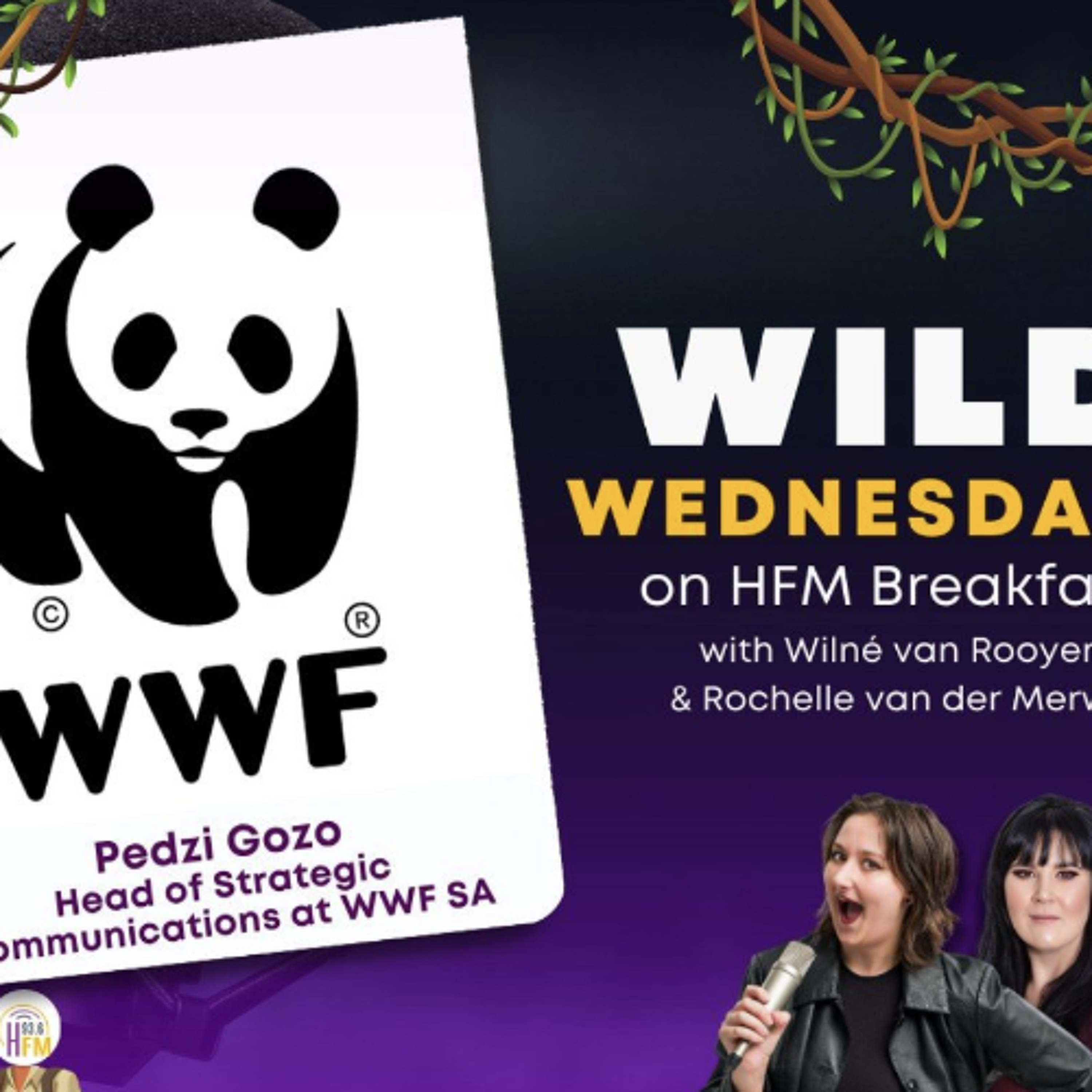 Wild Wednesday's On #HFMBreakfast episode artwork