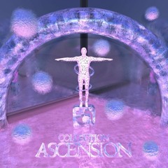 COLLECTION: ASCENSION (All Earnings to the AFSP)