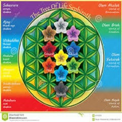 WhizPk Magicka P10; Camp'nTrip Edition Vol 10