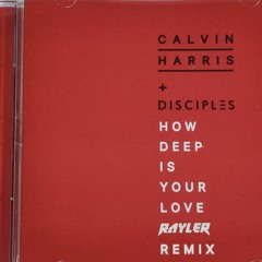 Calvin Harris & Disciples - How Deep Is Your Love (Rayler Remix)