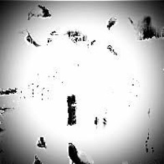 TLR - 9 ft. $corp