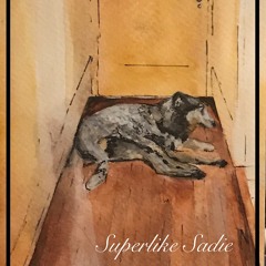 Super Like Sadie