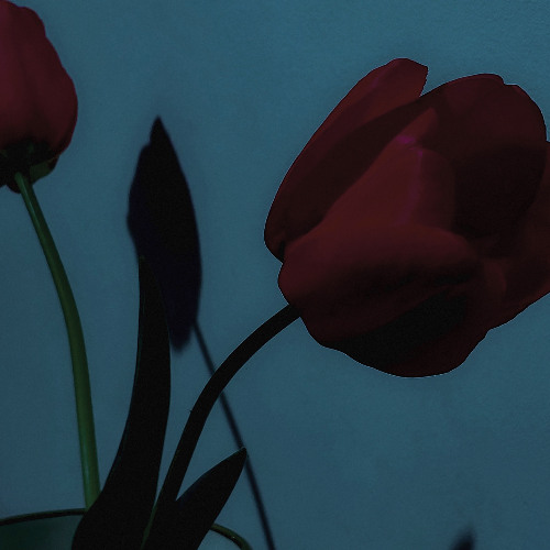 B2 Andrea Riffo - Fissure State