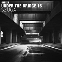 Under the bridge 16-SZUGA