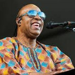 Stevie Wonder - Uptight - Leygo breaks remix
