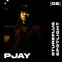 Sturzflug Spotlight 08 - PJAY