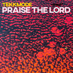 Praise The Lord (Da Shine)