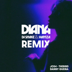 DIANA - Dj Snake, Hamza  REMIX