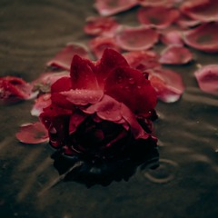 Dead Rose