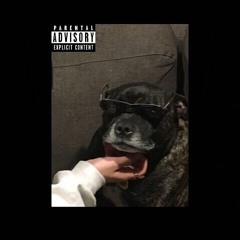 Kuma The Third - VENOM