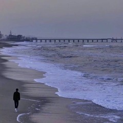 Tình Khó Đoạn - Tô Đàm Đàm