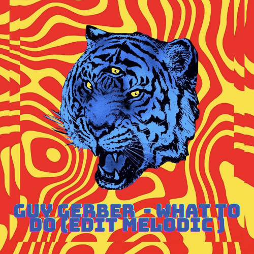 GUY GERBER - WHAT TO DO (MELODIC EDIT )