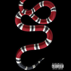 SNAKES: XMAN TG -Hoodricchfive Ft Lardy Gee