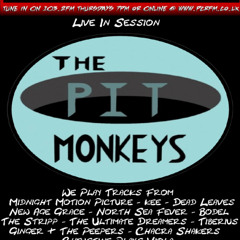 Doc Mason Radio Show  8.1.2026 Features The Pit Monkeys Live In Session