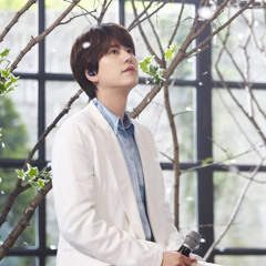 규현-널 사랑하지 않아