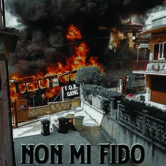 Non mi fido