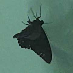 I'll haunt your dreams if you let me (prod.Ash_Aiden)