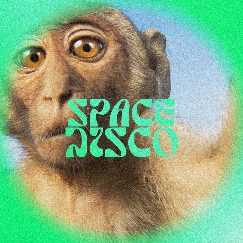 LEICK - SPACE DISCO