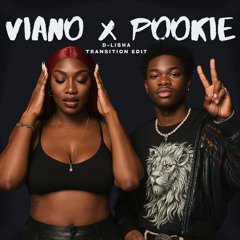 Viano X Pookie (D-lisha transition Edit) Filtered for SC