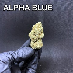 Alpha Blue (Experimental Project)