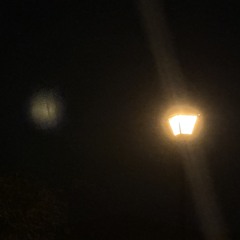 The Distance Between Mars and Jupiter