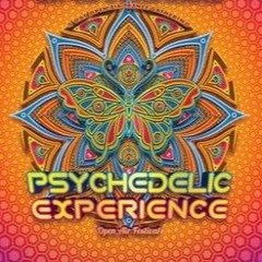PARADOX @ PSYCHEDELIC EXPERIENCE FESTIVAL