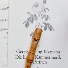Partita No. 2, Aria 2 Allegro (TWV 41:G2) - G. P. Telemann
