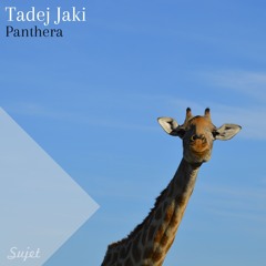 Panthera (Original Mix)- Tadej Jaki