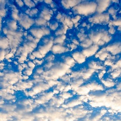 Clouds (364)