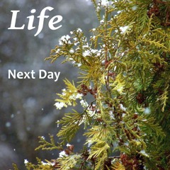Next Day