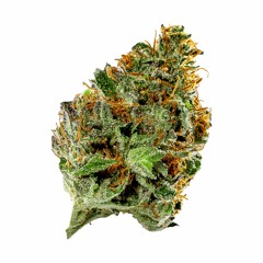 ŻYTO - Zrobiłem Ją