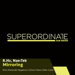 Mirroring (Alexander Bogdanov Rmx) [Superordinate Dub Waves]