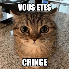 vous etes cringe (prod.kysmelo)