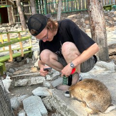 YANIX - Хайпим (HOLOCAUXXT MIXX)