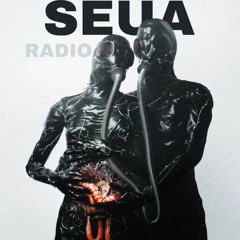 SEUA RADIO