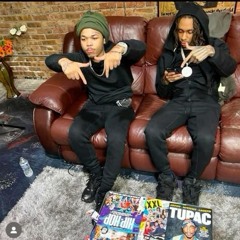 bloodhound q50 been been