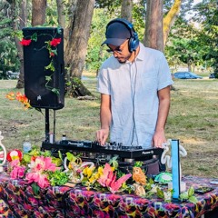 Summer Lovin (summer mix 2024)