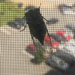 techno n other stuff